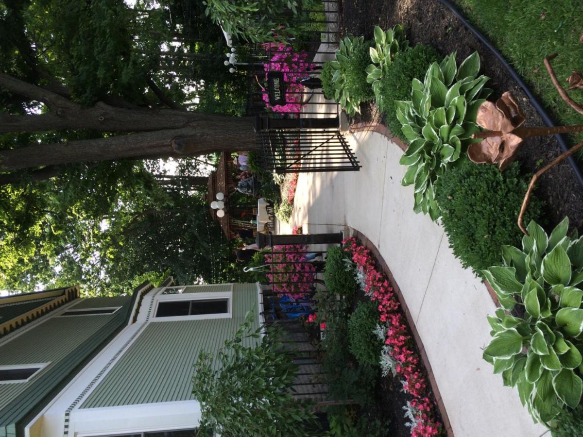 마운트프레젠트 The Ginkgo Tree B&B 외부 사진